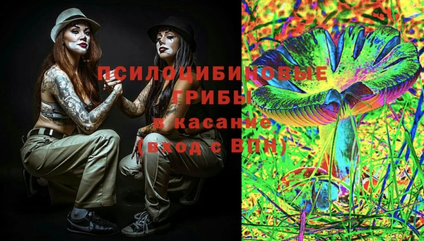 стафф Зеленодольск