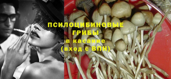 хмурый Зеленокумск